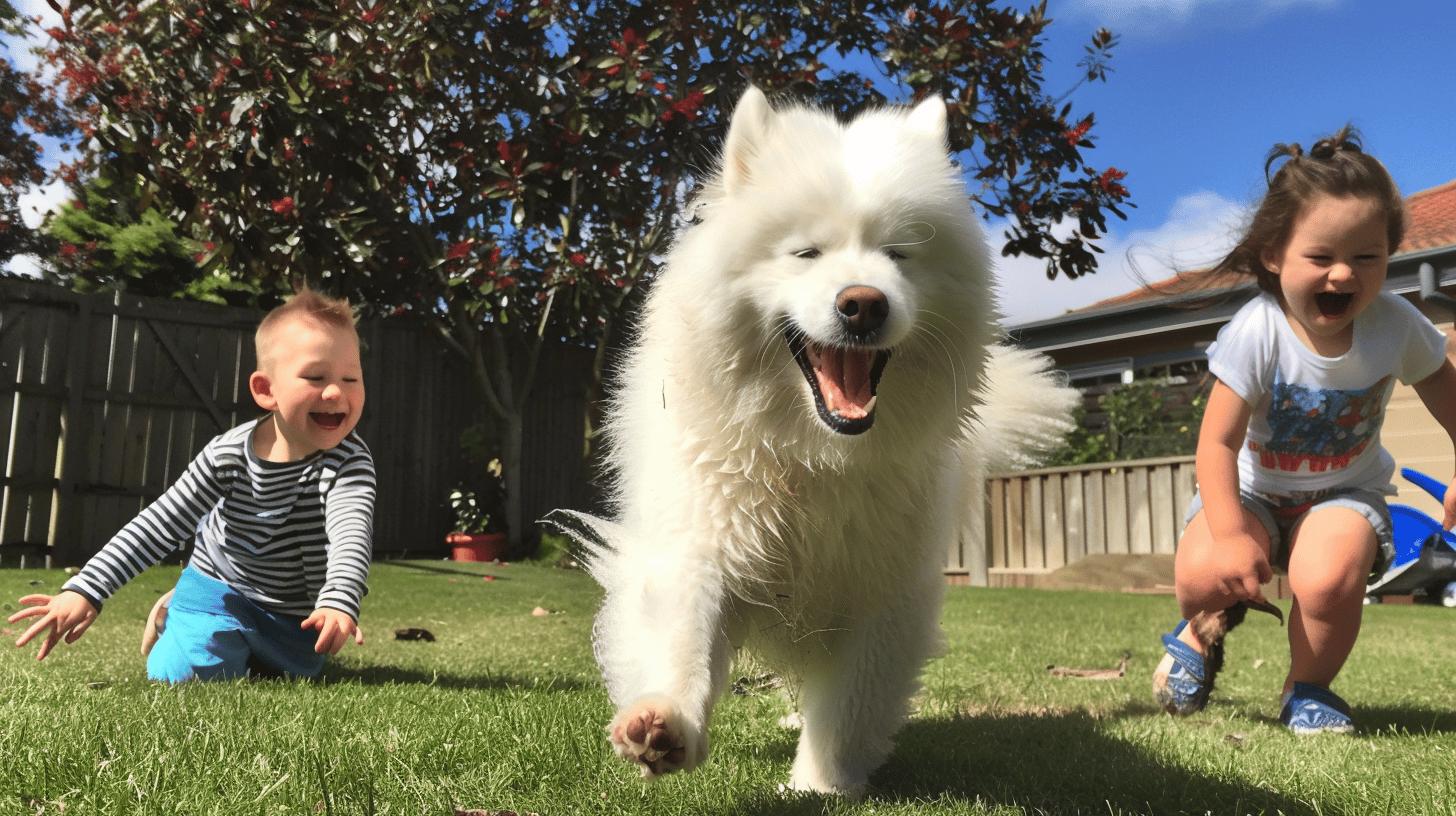 Fordeler og ulemper med å ha en Samojed-1.jpg