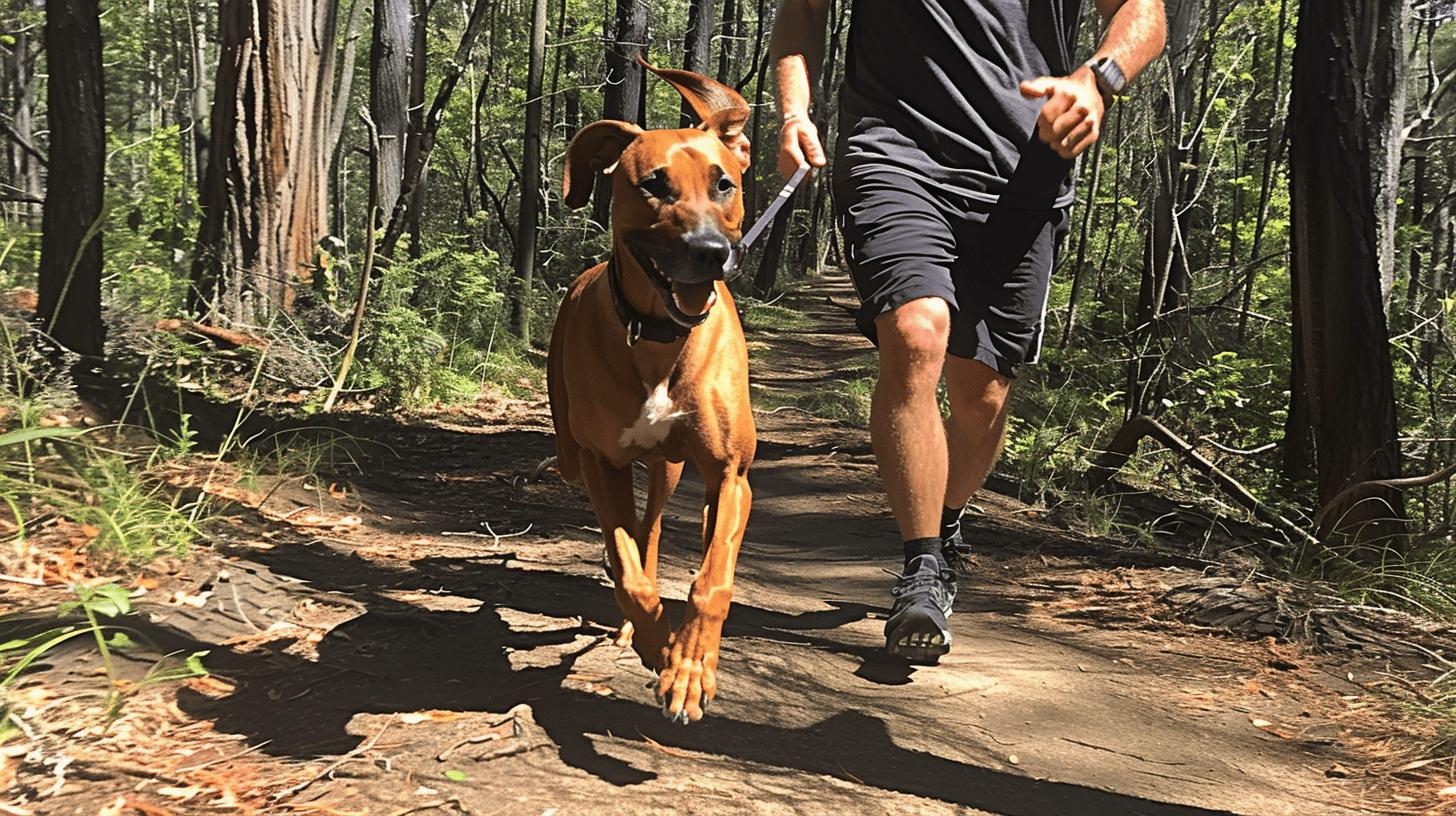 Trening og Sosialisering av Rhodesian Ridgeback-1.jpg